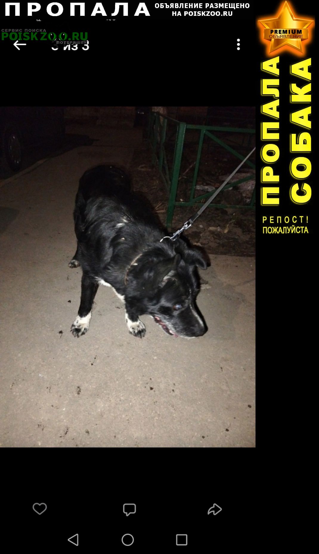 ���� ������� ������ ������ ������