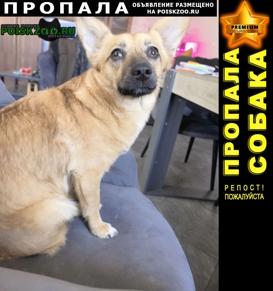 ���� ������� ������