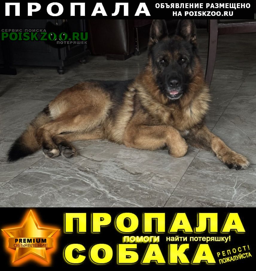 ���� ������� ������ ������ �������� ������� ����������