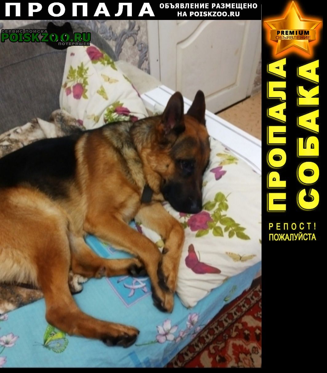 ���� ������� ������ ������