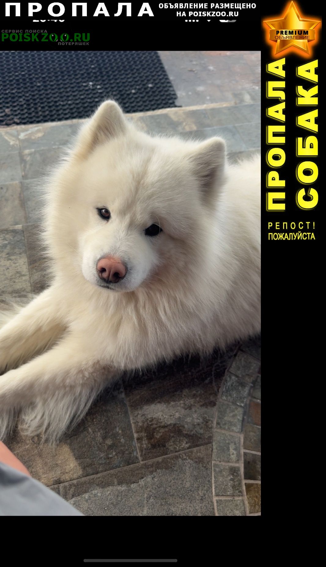 ���� ������� ������ ������ ������, ������� ������, ����� �����