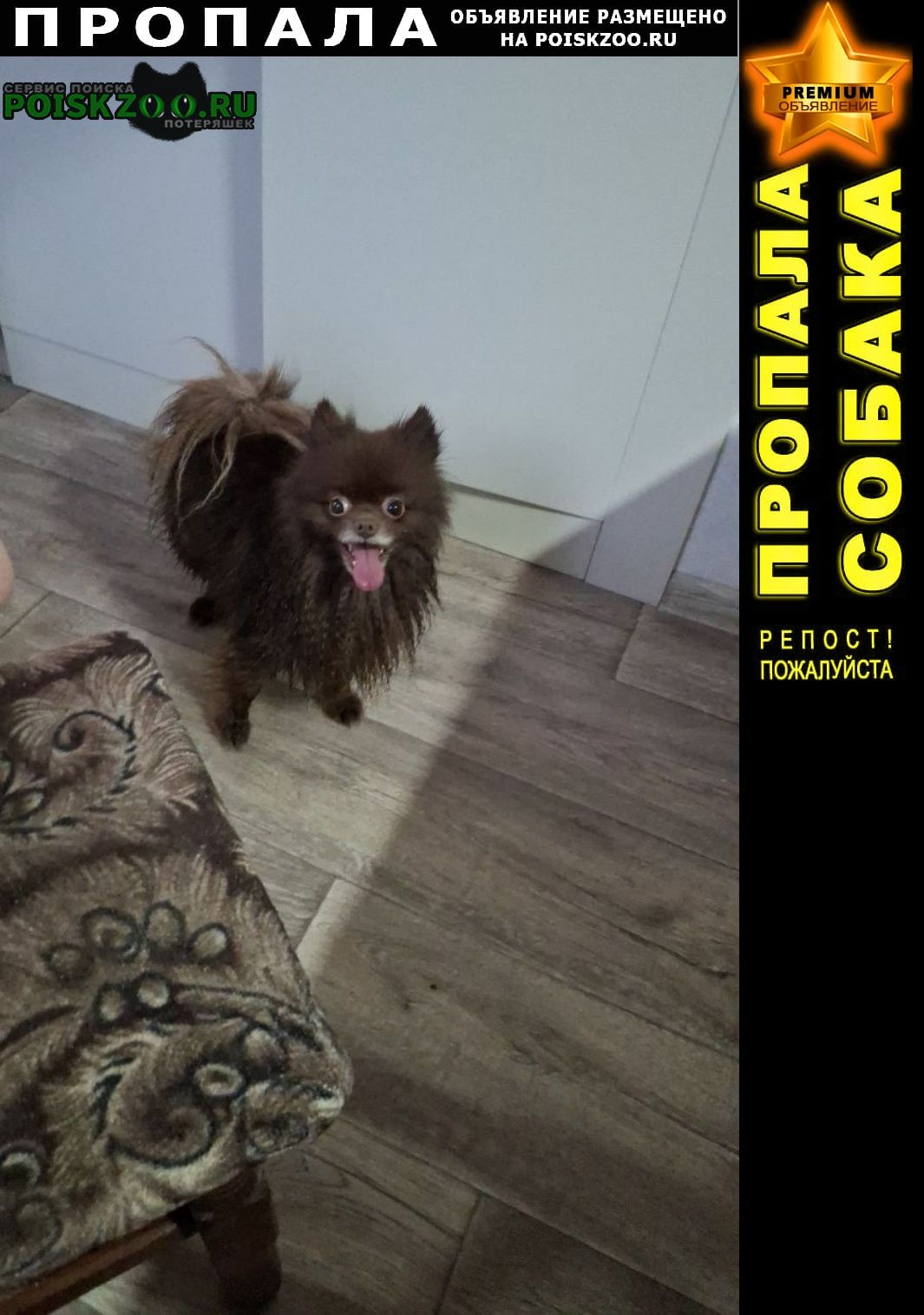 ���� ������� ������ 29. 03 � ������ �����������