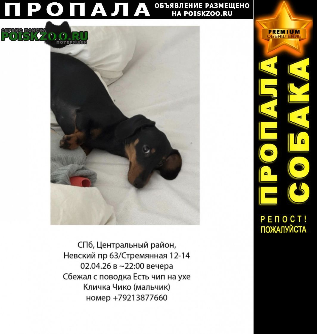 ���� ������� ������ ������ ��������������