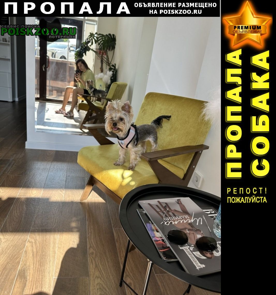 ���� ������� ������ ����������� ������