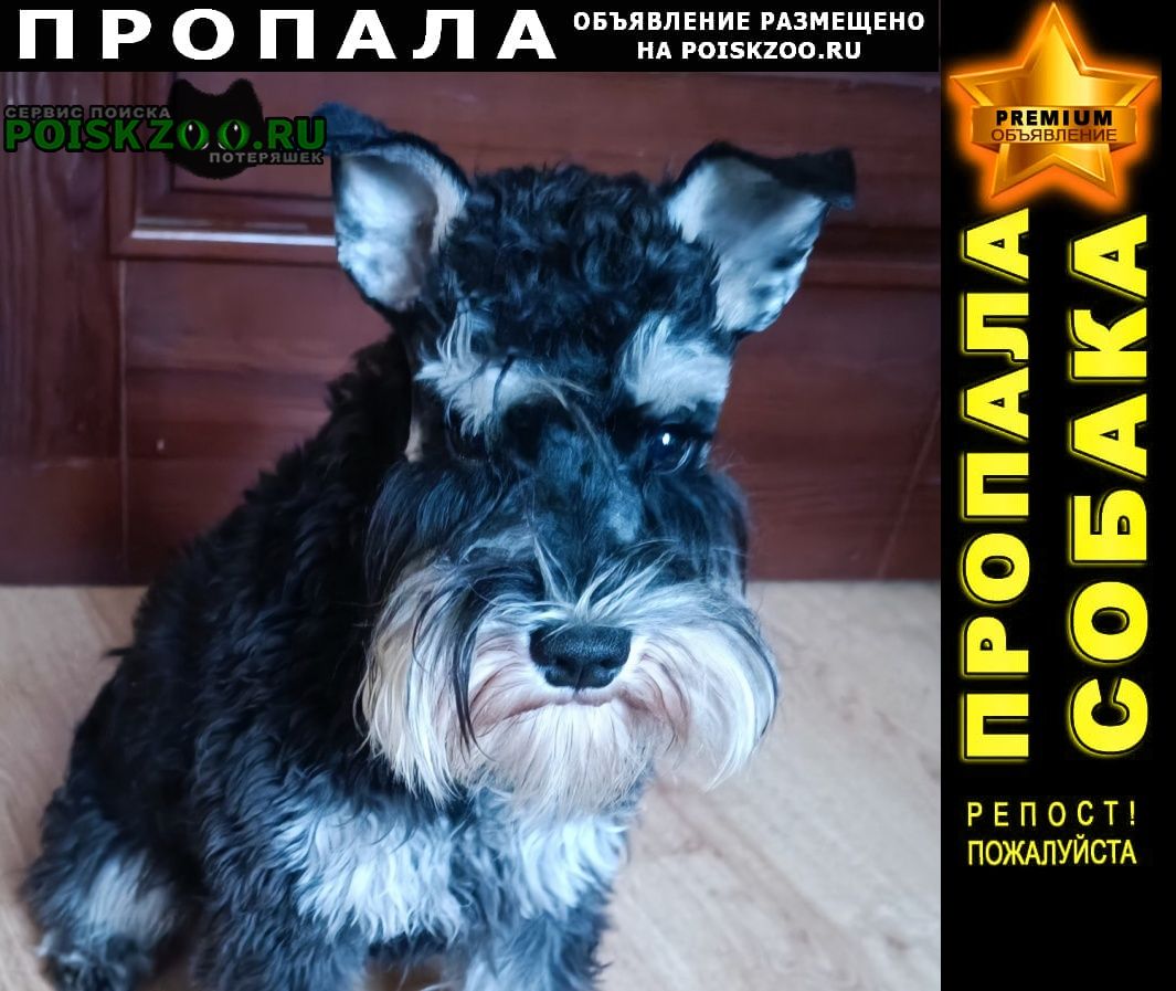 ���� ������� ������ ������ ������������