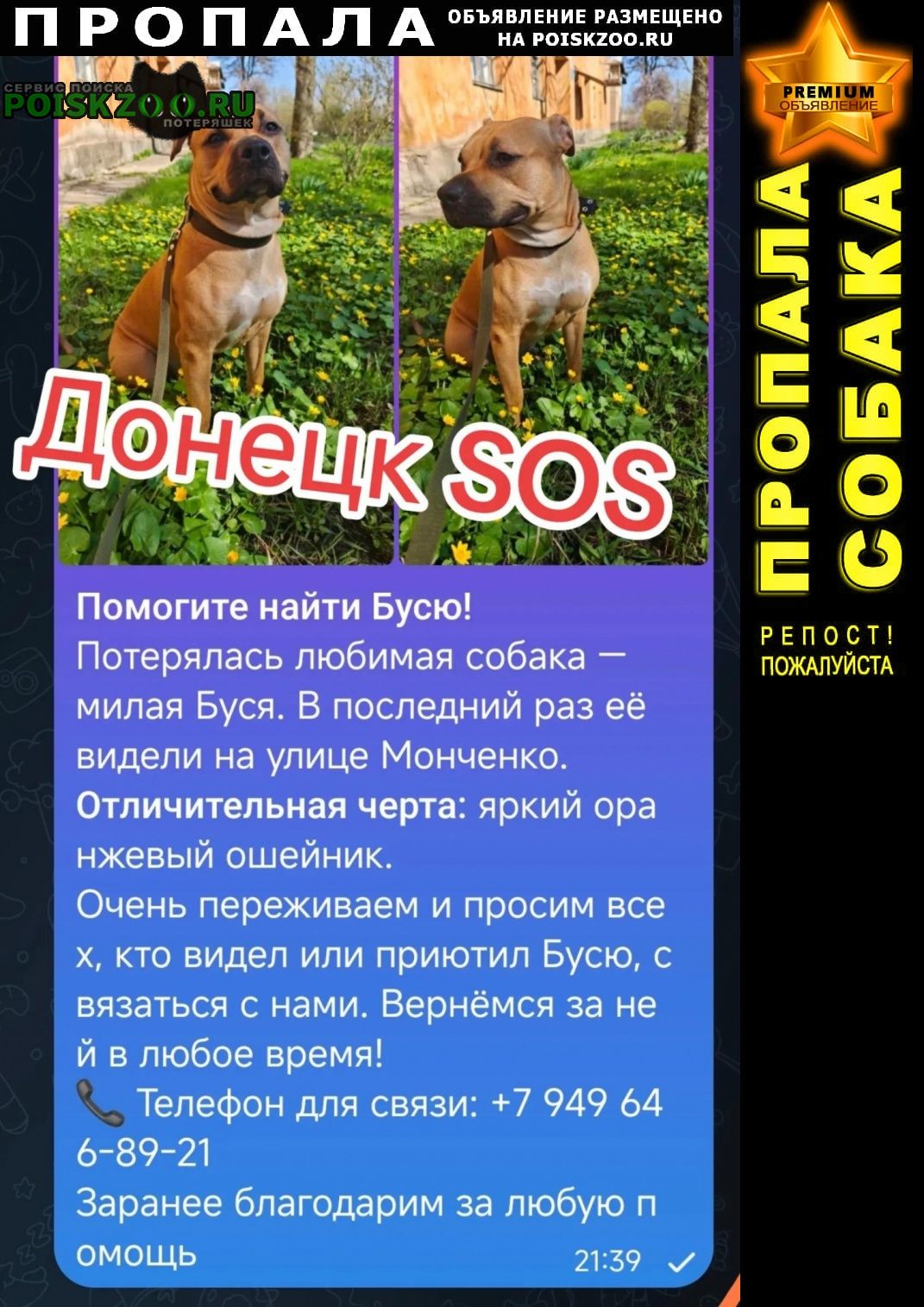 ���� ������� ������ �������