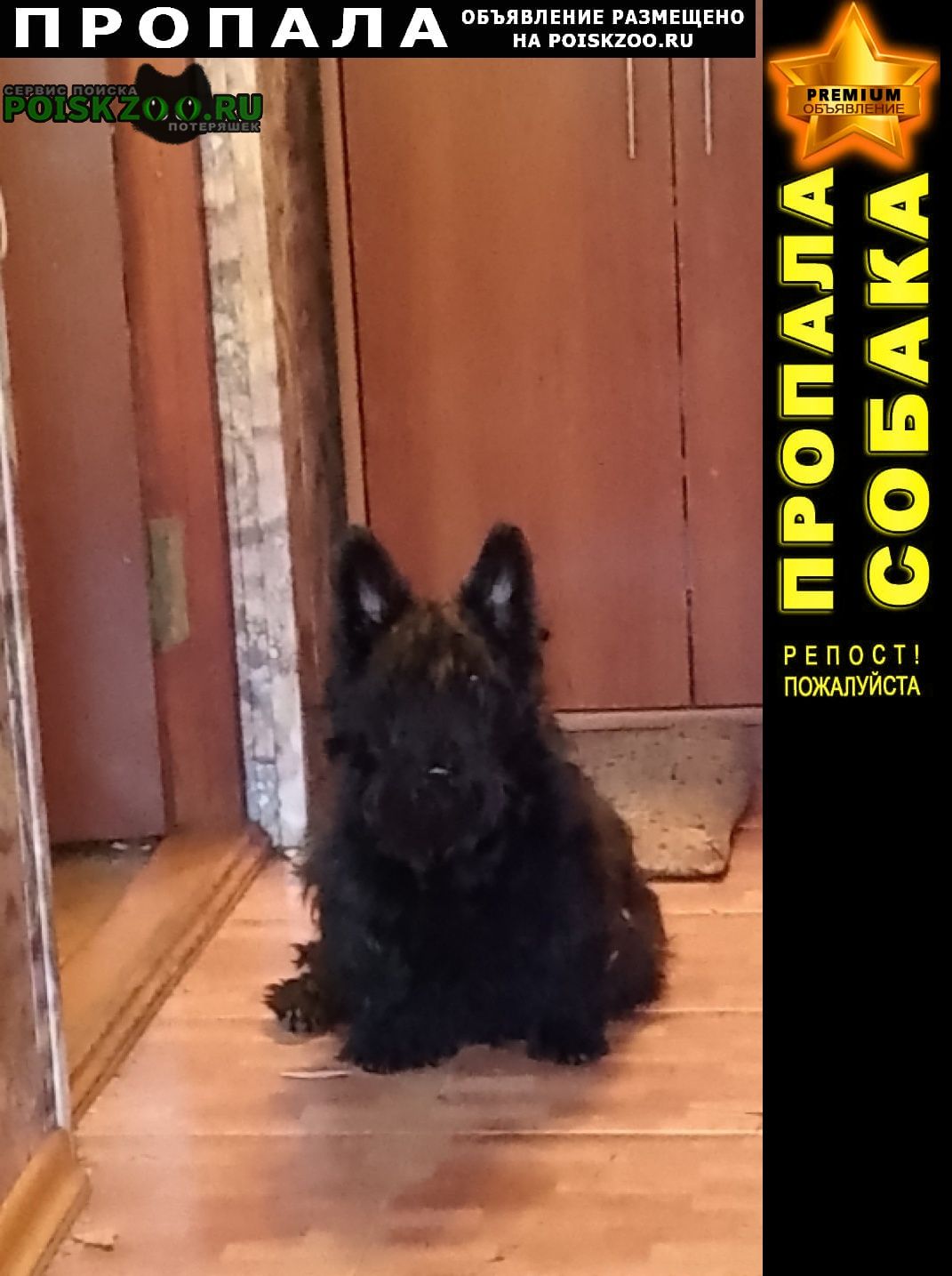 ���� ������� ������