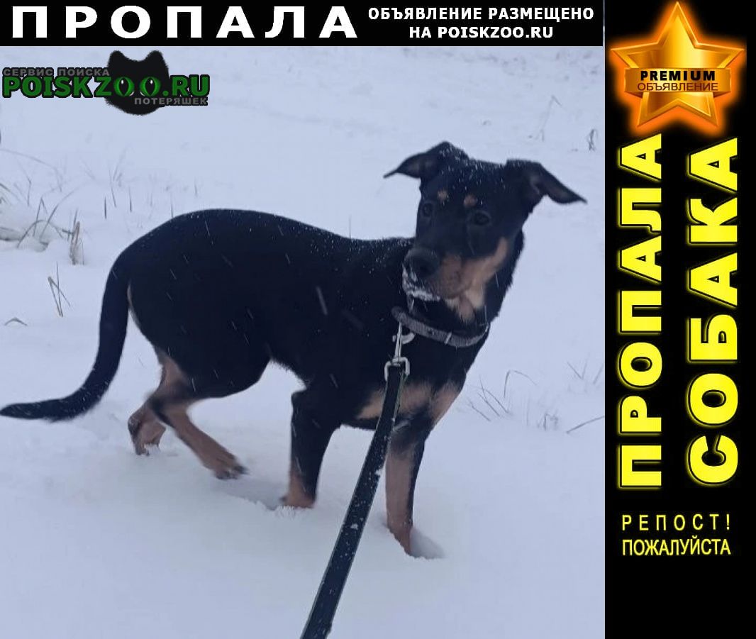 ���� ������� ������ ������