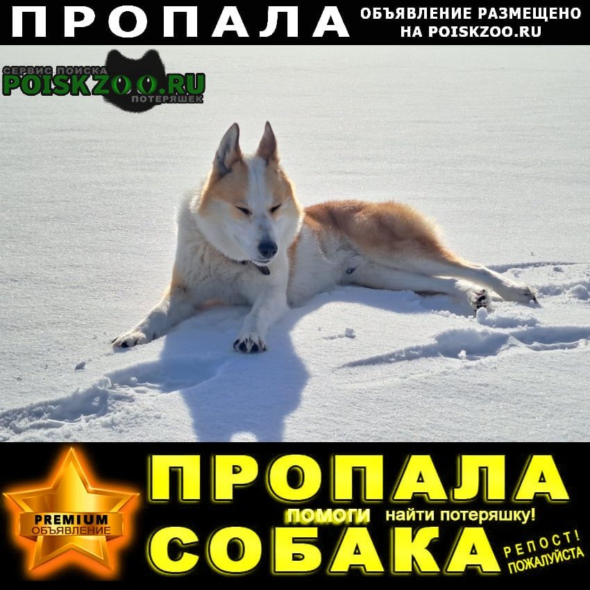 ���� ������� ������ ������ ����� ����-�����