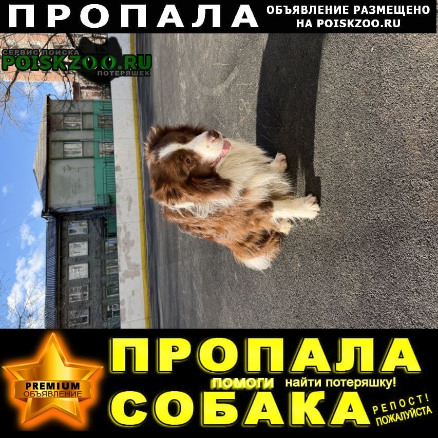 ���� ������� ������ ������ ����������� �����