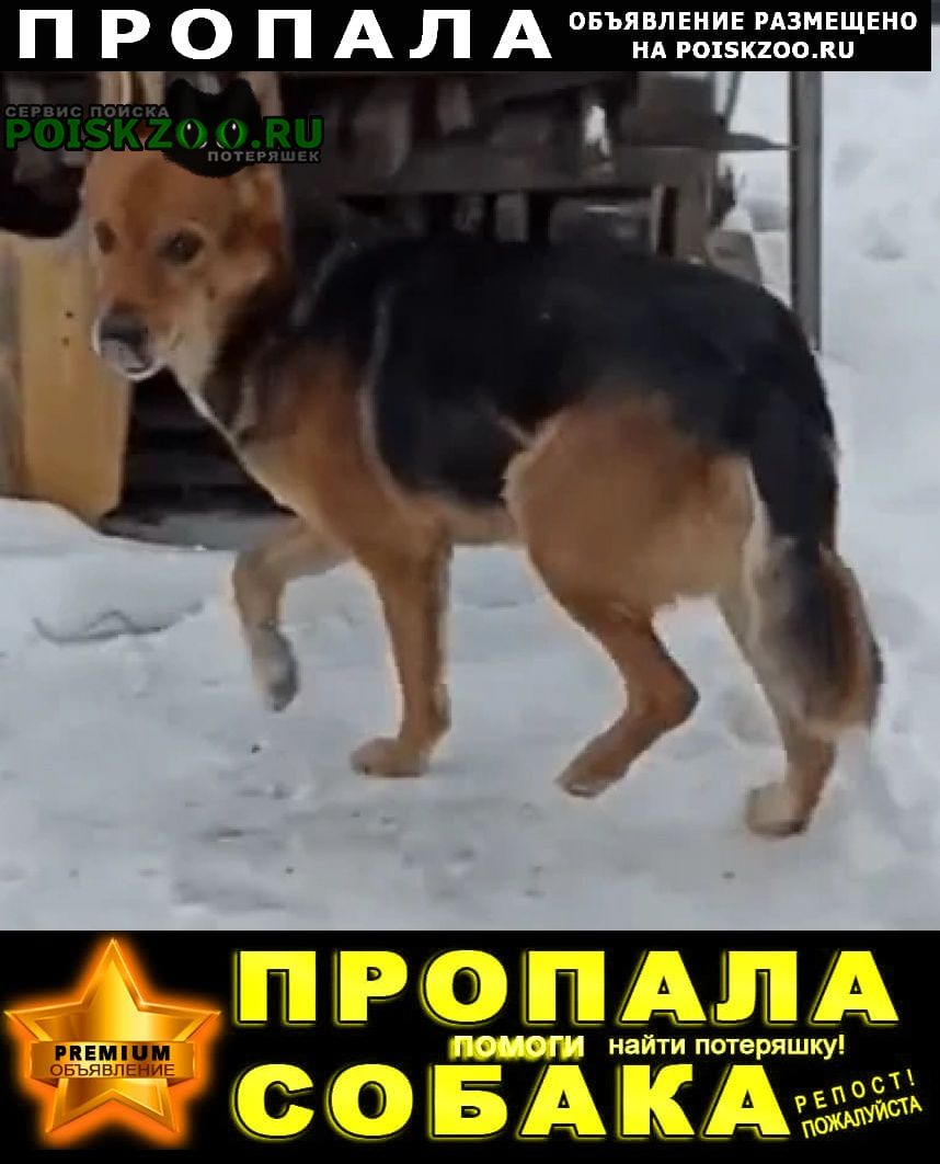 ���� ������� ������ ������ ������, 10 ���, ��� ��������