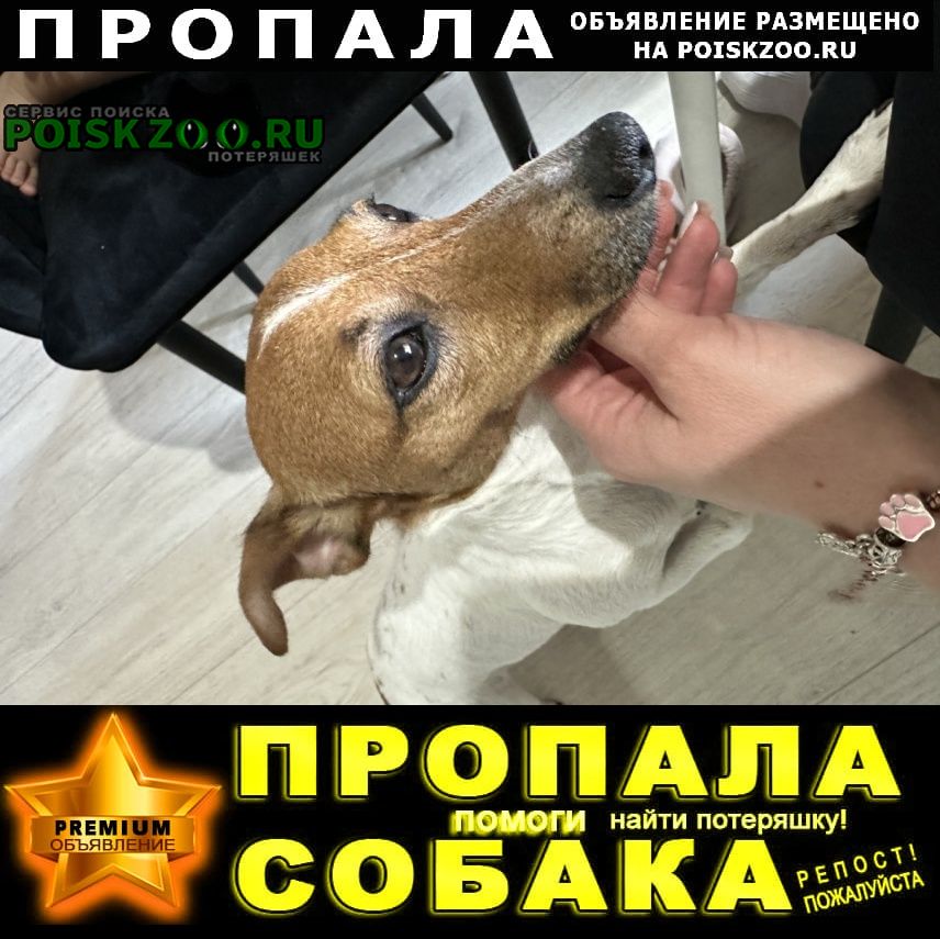 ���� ������� ������ ���� ������