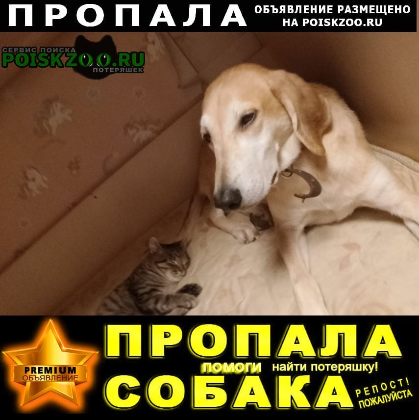 ���� ������� ������ ����� ������ � ������