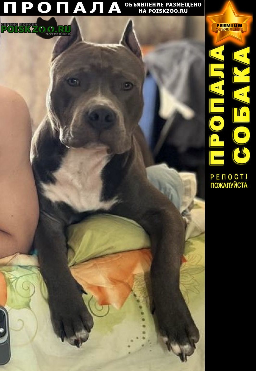 ���� ������� ������ ������ ������ ������