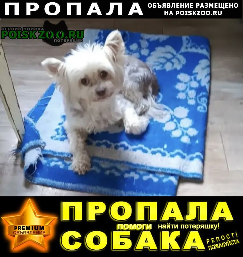 ���� ������� ������ ������ 18. 08 ���������� ������. ������ ���