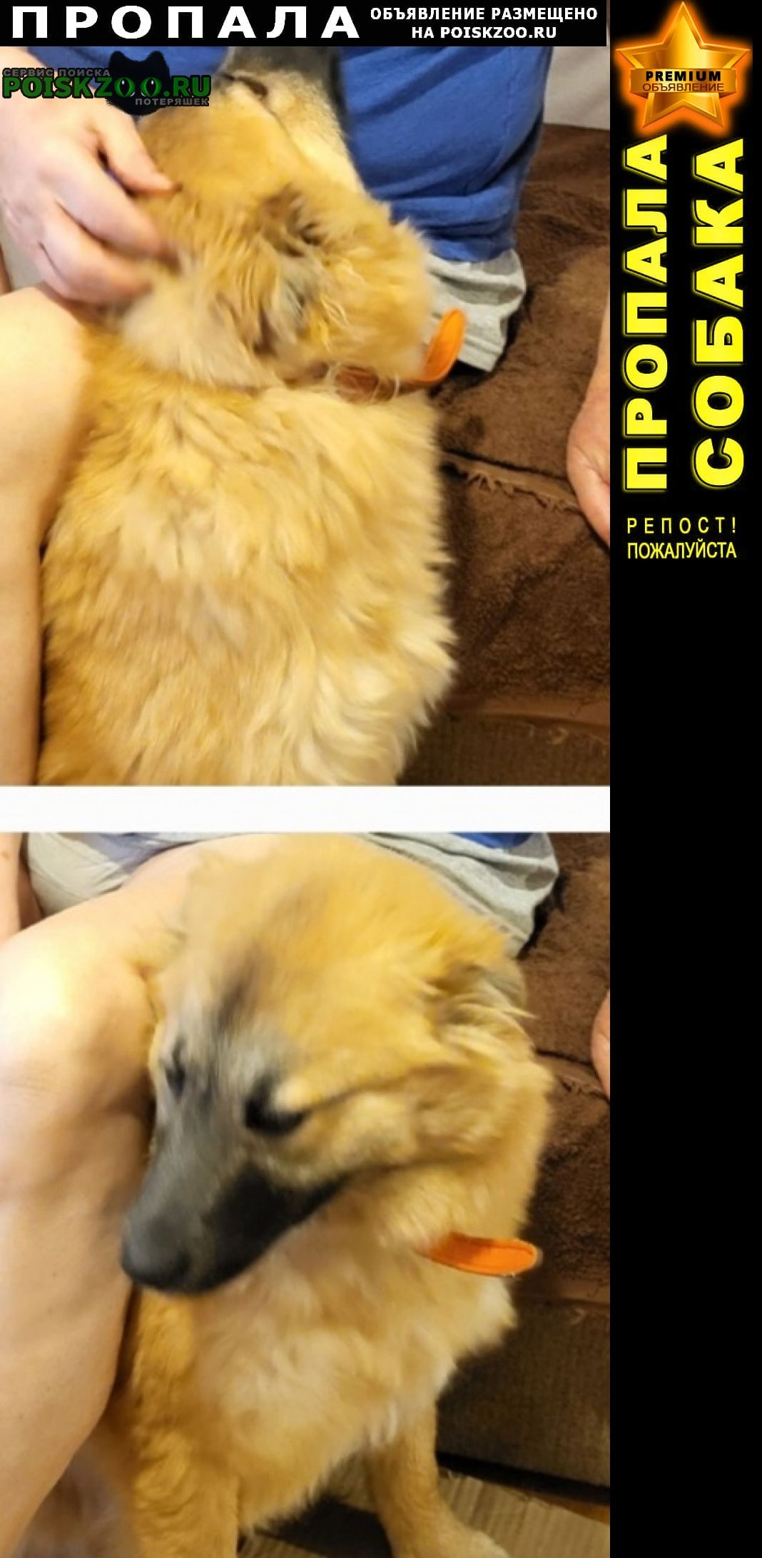 ���� ������� ������ � ���� � 17 ������� �� 18 ������� 2026