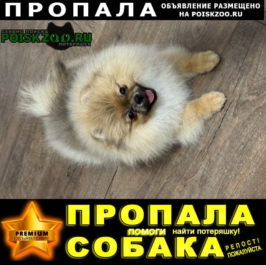 ���� ������� ������ ����� �����(5 �������)