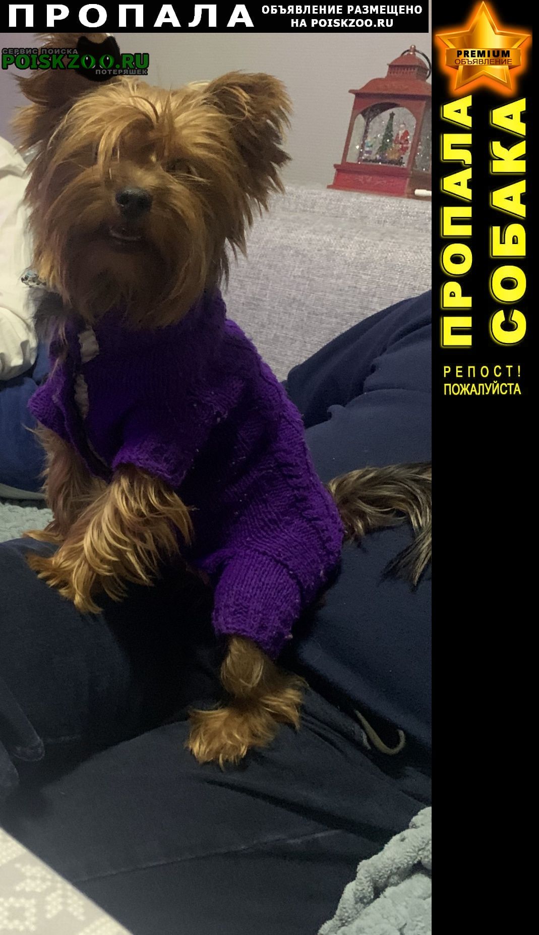 ���� ������� ������ �������� ����������� �����