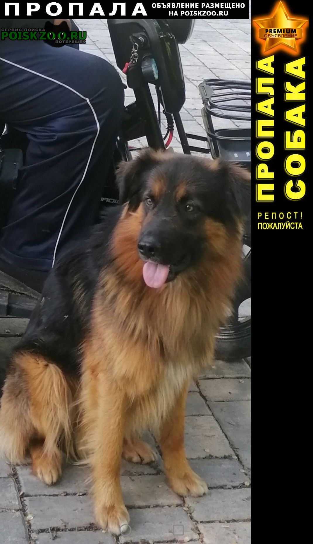 ���� ������� ������ ������ ����� � ������ �����. ����� �� �