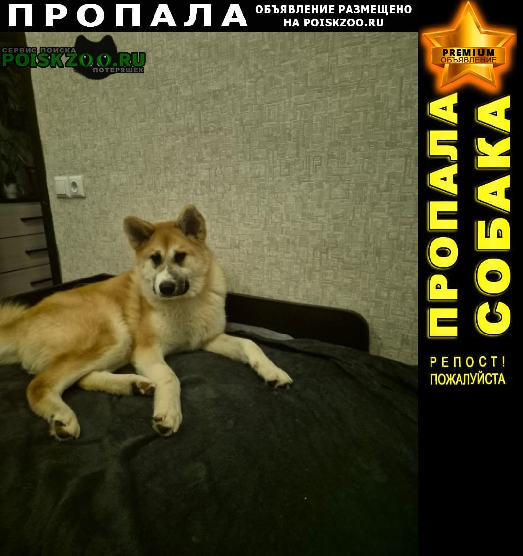 ���� ������� ������ ������� �������