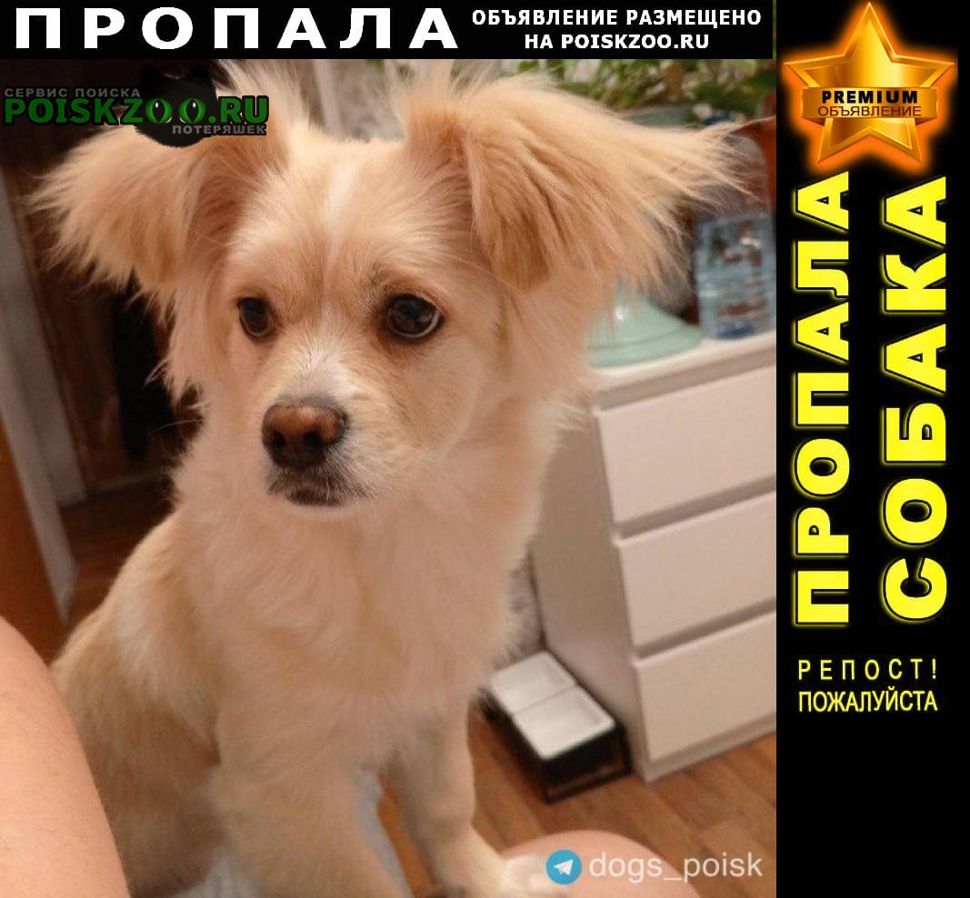 ���� ������� ������ ����� ������ � ������