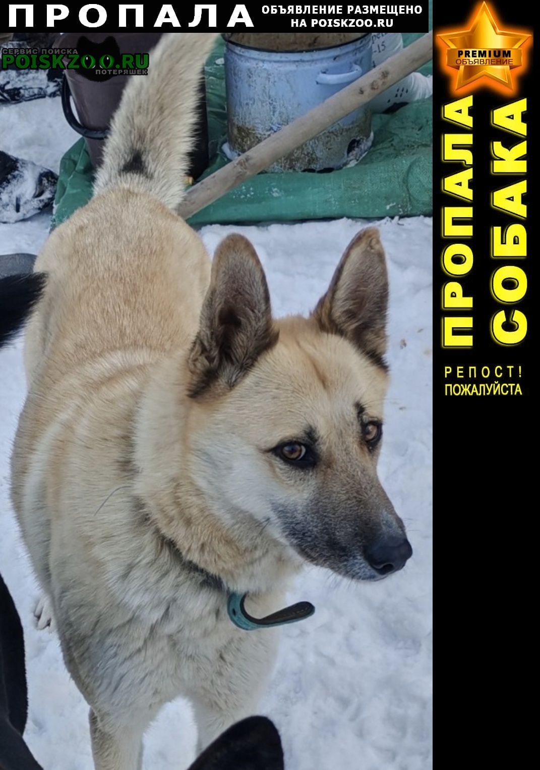 ���� ������� ������ ������