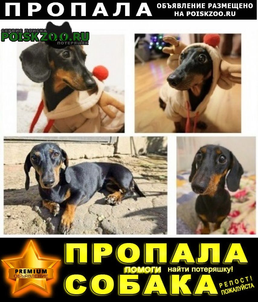 ���� ������� ������ ���� �������� ����� ��������� ���������