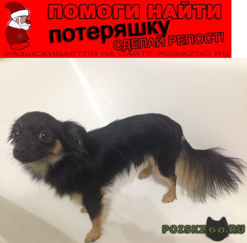 ���� ������� ������ ������