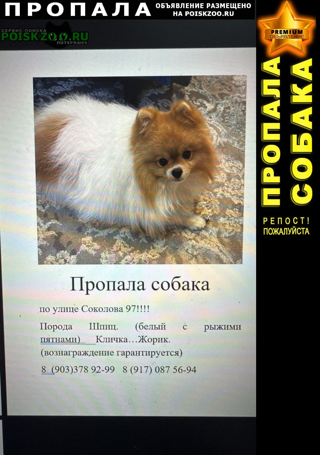 ���� ������� ������ ������ �������