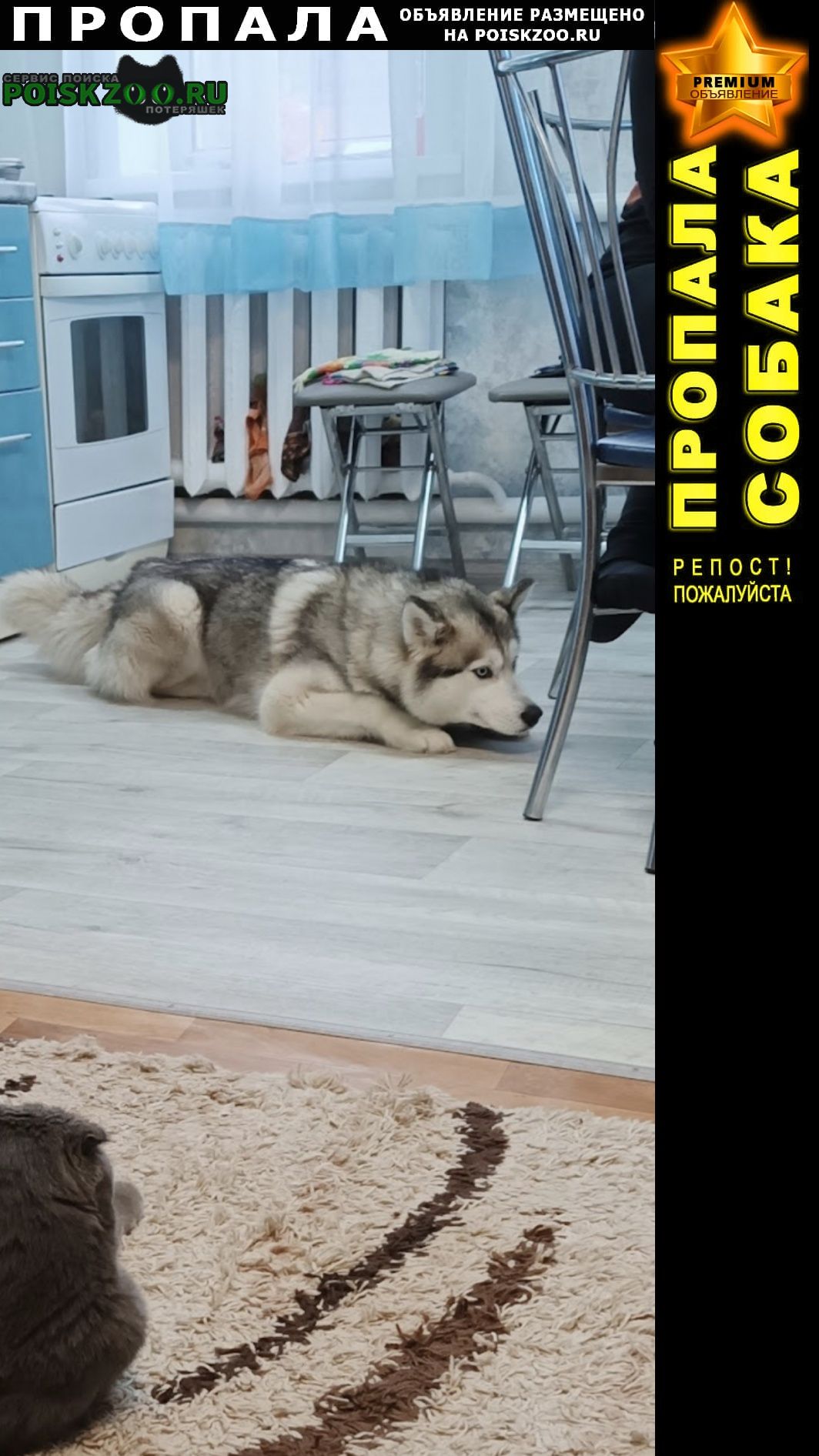 ���� ������� ������ ����� ����� �����