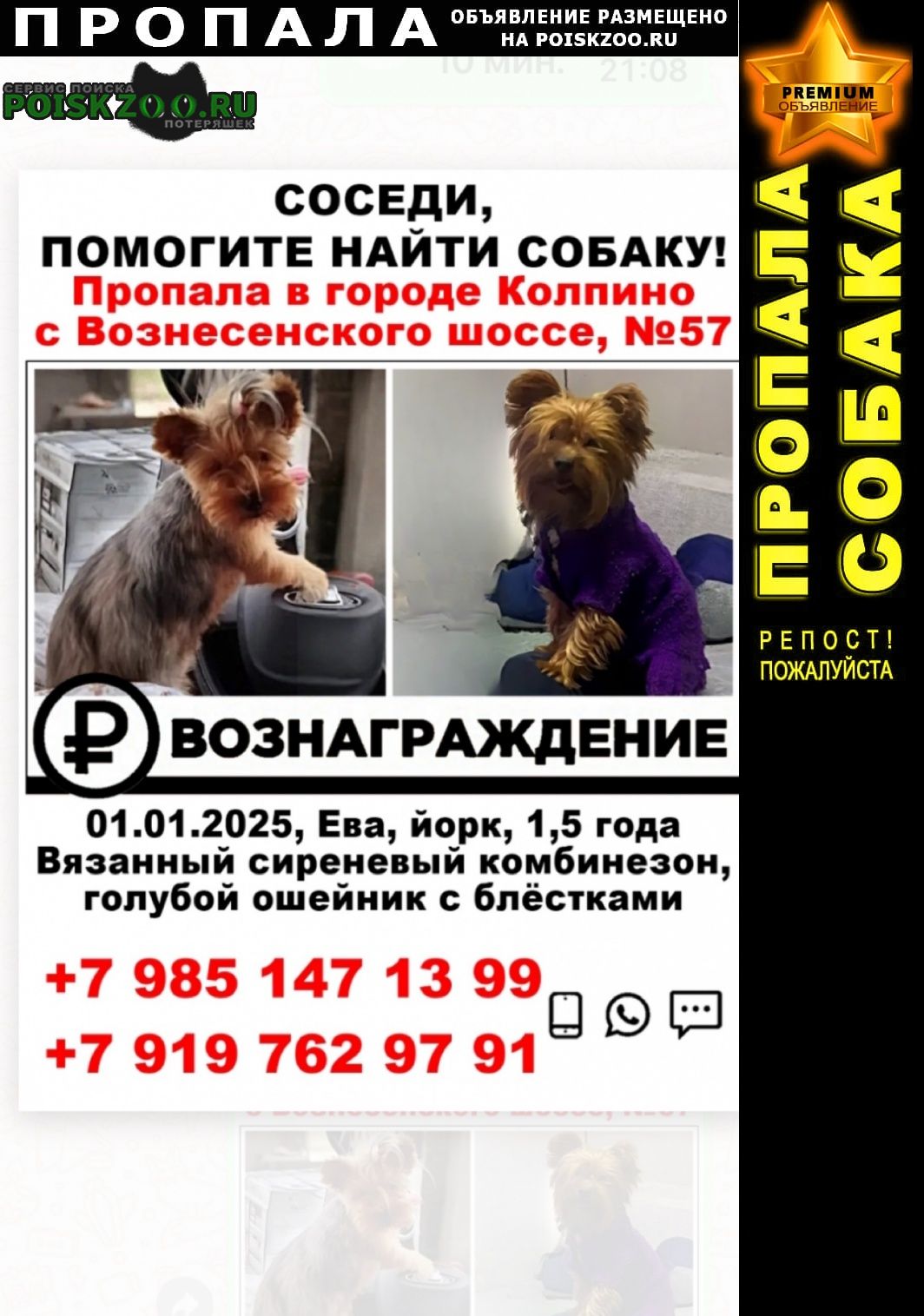 ���� ������� ������ ����������� ������ �������� ����� ���