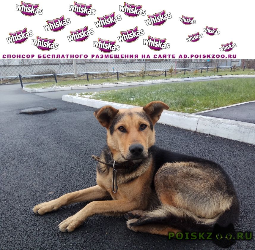 ���� ������� ������ ������