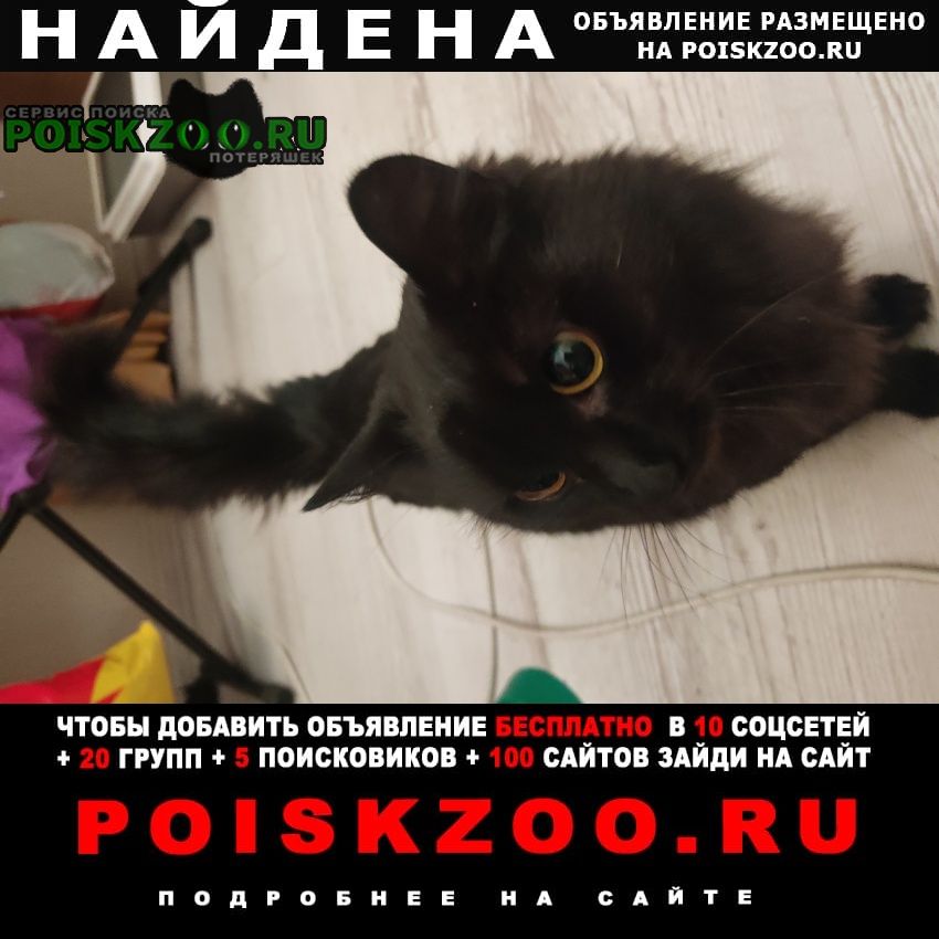 ���� ������� �����.