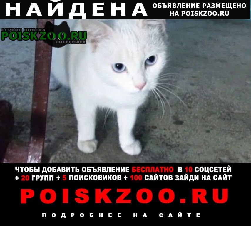 Найдена кошка белая или кот Москва
