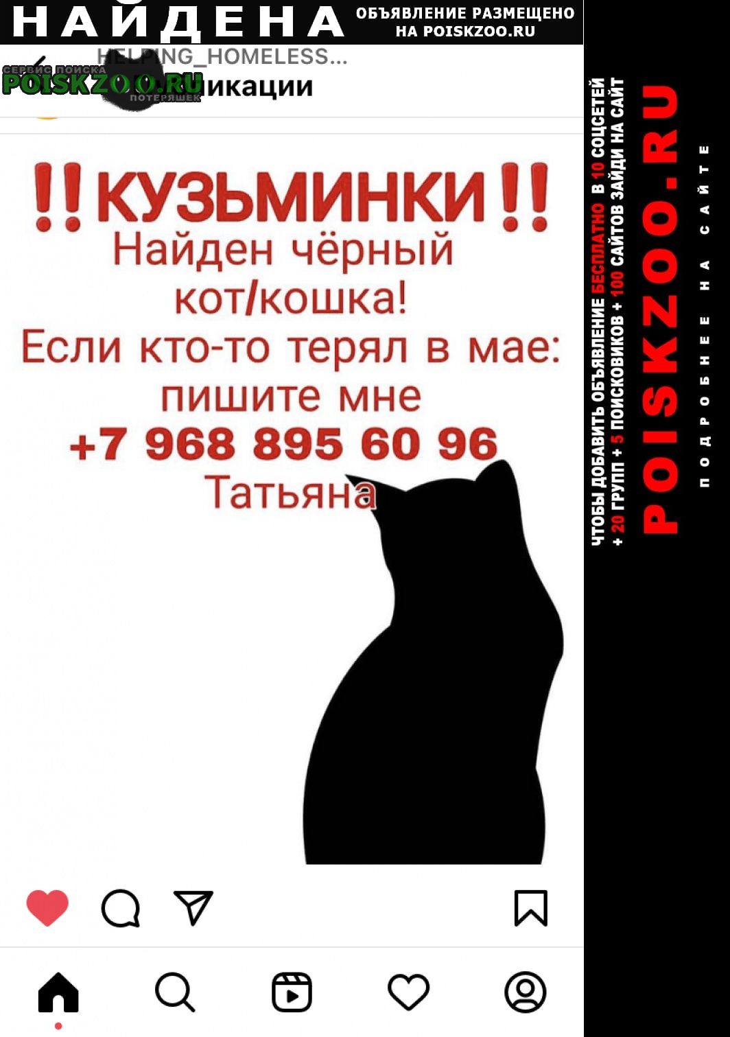 Москва Найдена кошка или кот чёрный