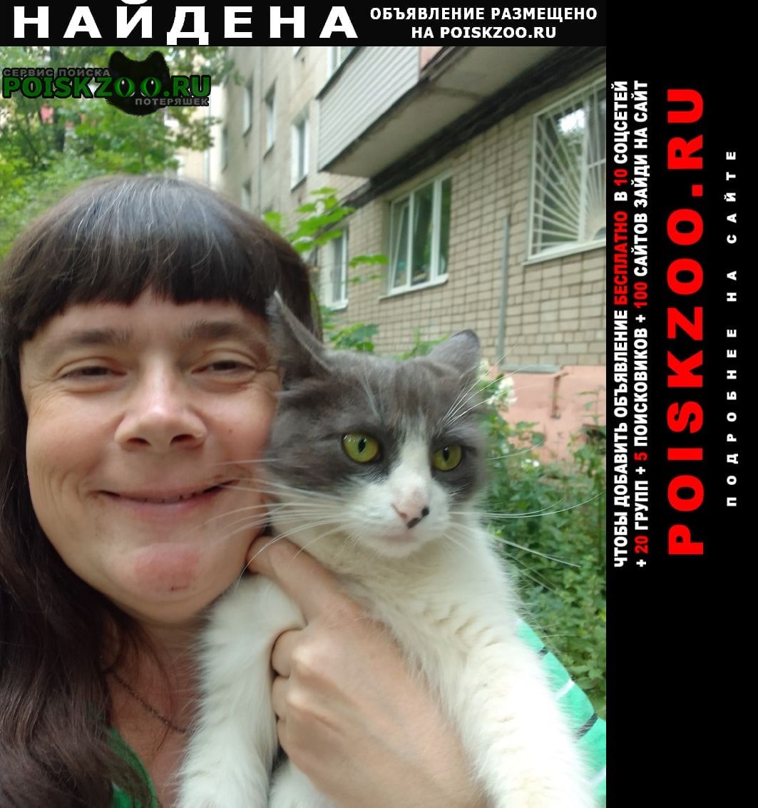 Найдена кошка стерелизованная кошка Ярославль