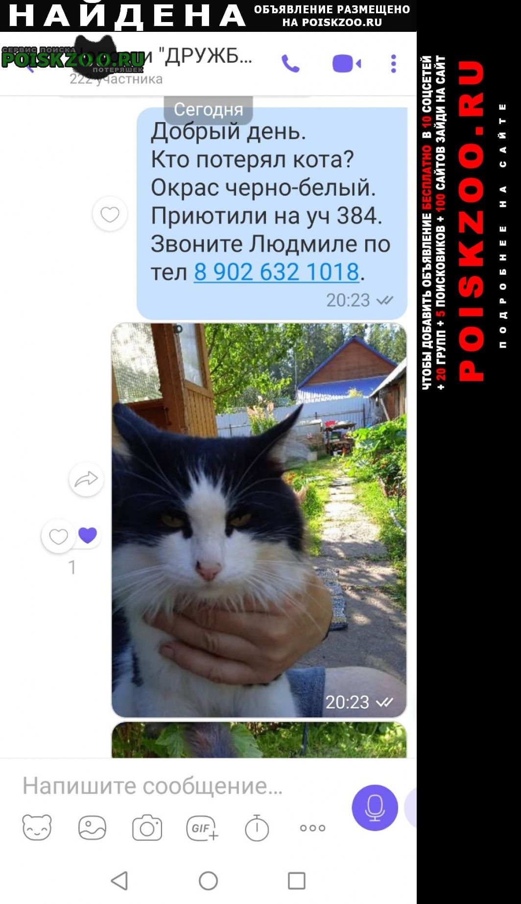 Найден кот ищет хозяина Пермь
