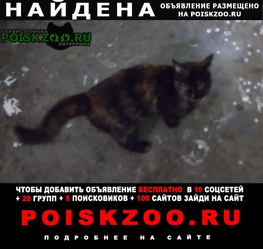 Найдена кошка бегает рядом с депутатской улицей Уфа