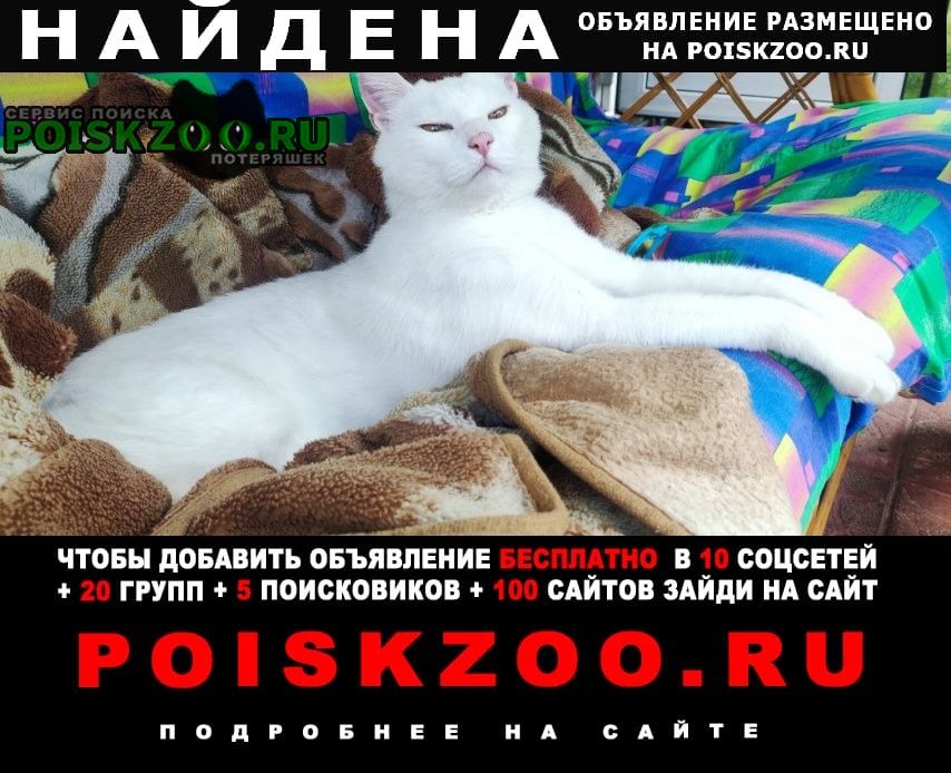 Найден кот Одинцово