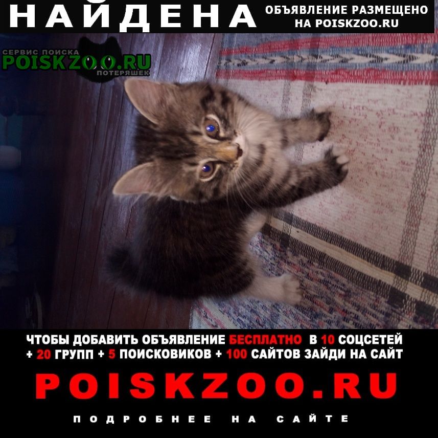 Найдена кошка Невьянск