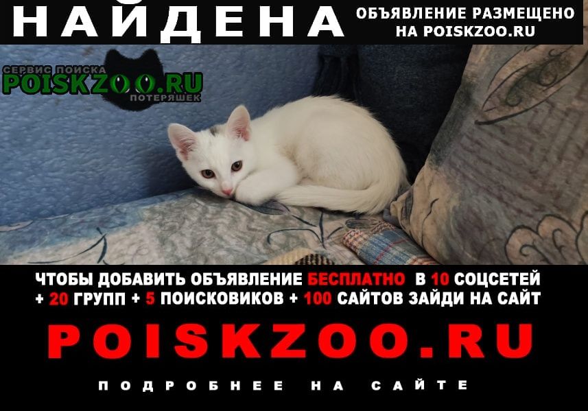Найдена кошка снегурочка к новому году Москва