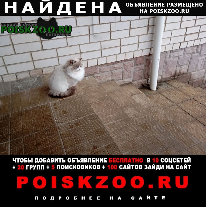      2024 