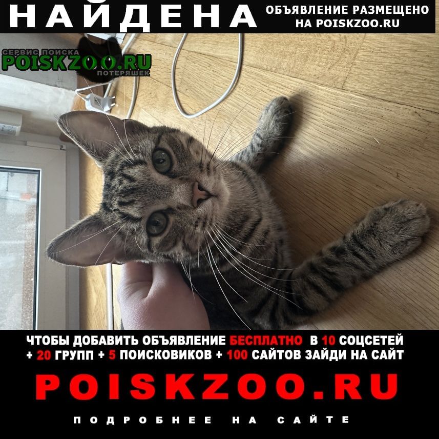   16. 05   