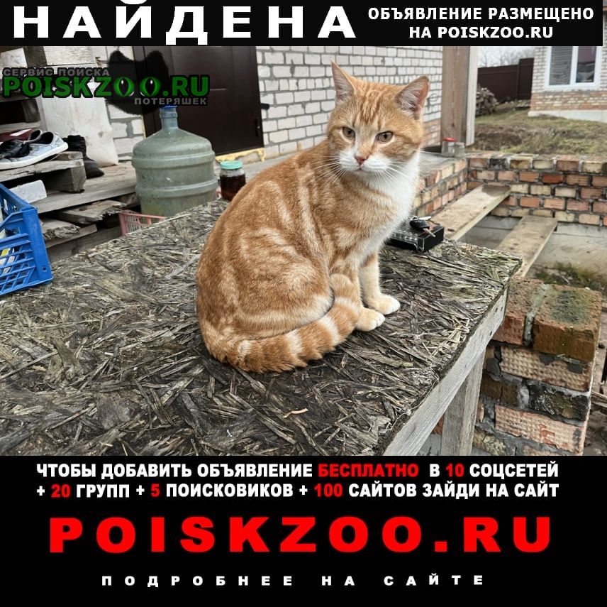 ���� ������ ���