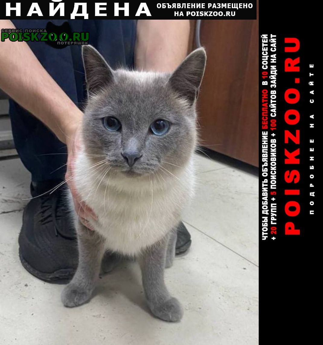 ���� ������ ���