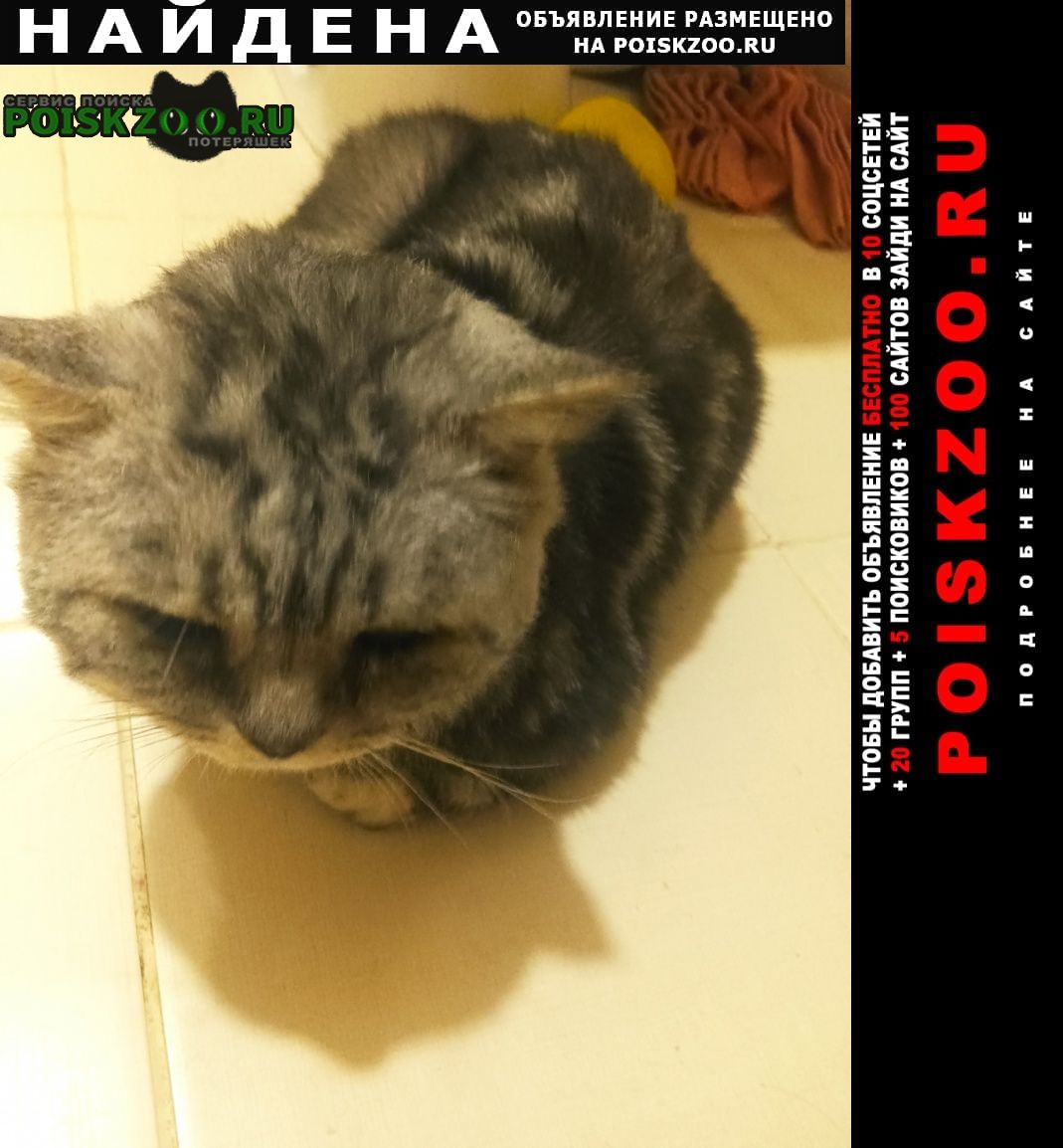 ���� ������ ��� ����������� ���