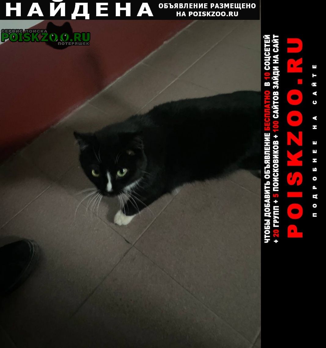 ���� ������� �����