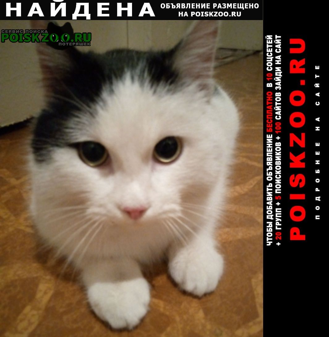 ���� ������ ���