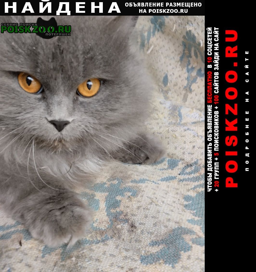 ���� ������� �����