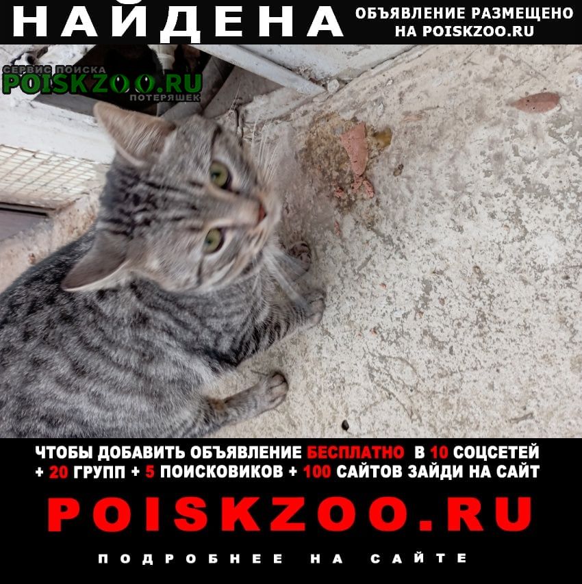 ���� ������ ���